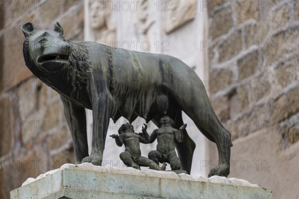 Luperca, the she-wolf who according to Roman mythology nursed Romulus and Remus, founders of Rome, Rome, Lazio, Italy, Europe