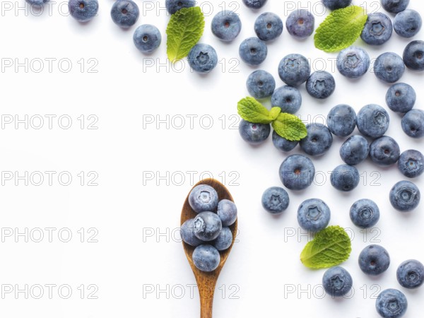Blueberries isolated on white background. Blueberry border design. Ripe and juicy fresh picked bilberries close up. Copyspace. Top view or flat lay