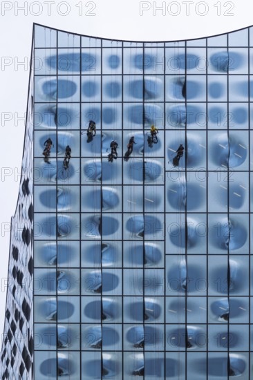 People working as window cleaners on the striking glass façade of a tall building, Elbphilharmonie, Hamburg Concert Hall, Free and Hanseatic City of Hamburg, Germany, Europe