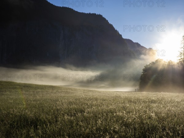 Early morning fog illuminated by the morning sun moves across a flower meadow, Gößler Wand, Gößl, Salzkammergut, Styria, Austria, Europe