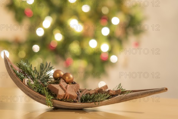 Christmas decoration in a nutshell in front of a Christmas tree with burning lights