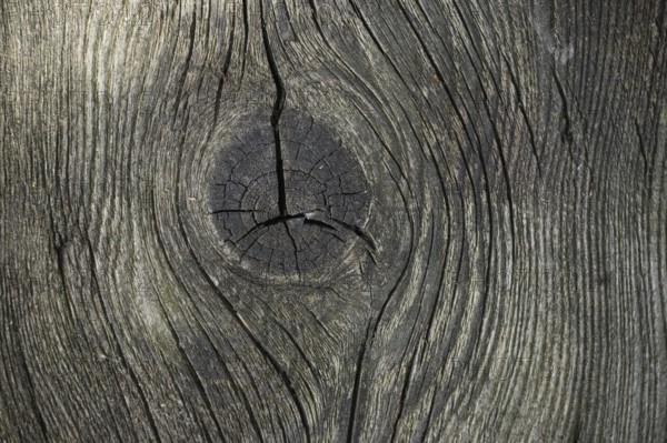 Detailed view of a piece of aged wood with a gray-brown coloration that emphasizes its natural textures and patterns. Deep cracks and knots cover the surface