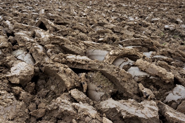 Ploughed field, clods of earth