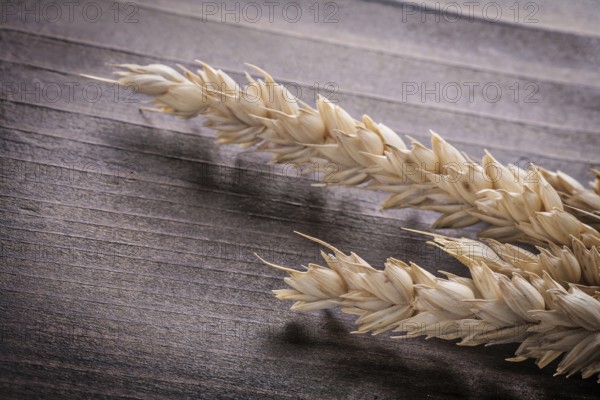 Ears of wheat on dark wooden board