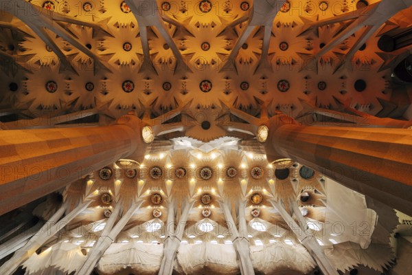 Barcelona, Spain - 15 December 2019: Sagrada Familia interiors - columns, vaults, stained glass and ceiling in Barcelona, Spain, Europe