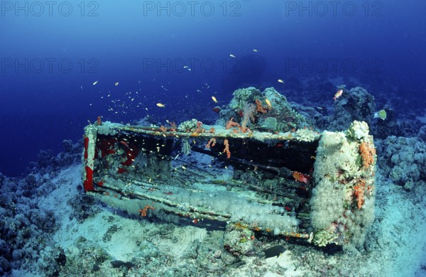 Jacque Cousteau's shark cage, Sudan, Africa, Red Sea, Shaab Rhumi, Africa