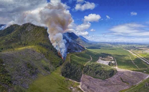 Landscape in South Africa, forest fire, fire, smoke, flames, burning forest, N2, Kou-Kamma Ward 6, Thornham, Kou-Kamma Local Municipality, Eastern Cape, South Africa, Africa