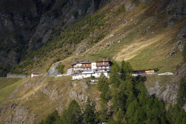 Mountain hut on a grassy slope, surrounded by forest and mountains, sunny day, moss in Passeier, South Tyrol, Italy, Europe