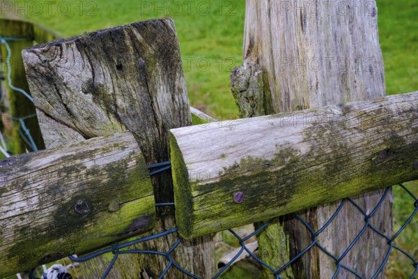 Close-up of a rustic wooden fence with moss and metal wire in a rural landscape