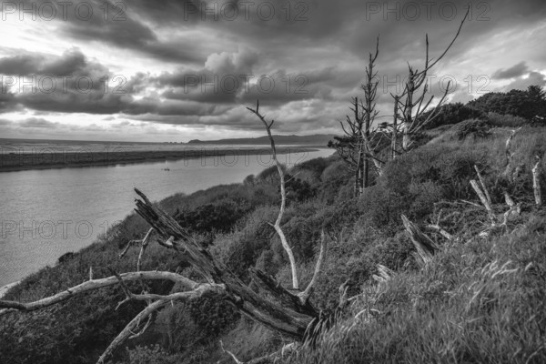 A black and white image of the Mad River in Northern California