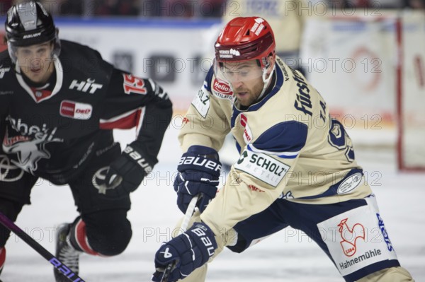 LanxessArena, Cologne, North Rhine-Westphalia, Tyson Spink (Schwenninger Wild Wings, #96), PENNY DEL, Kölner Haie- Schwenninger Wild Wings on 11/10/2024 at the LanxessArena in Cologne Germany