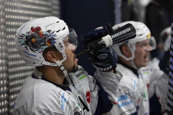 KA2, Cologne, North Rhine-Westphalia, Colin Ugbekile (Iserlohn Roosters, #79), PENNY DEL, Test match Cologne Sharks-Iserlohn Roosters on 13/09/2024 at KA2 in Cologne Germany