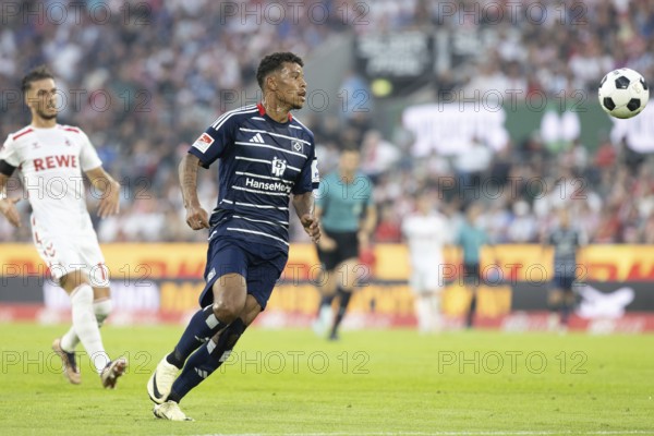 Ransford Königsdorfer (Hamburger SV, Sturm, #11), 2nd Bundesliga, 1. FC Köln, Hamburger SV on 02/08/2024 at the RheinEnergieStadion in Cologne Germany . (DFL/DFB REGULATIONS PROHIBIT ANY USE OF PHOTOGRAPHS AS IMAGE SEQUENCES AND/OR QUASI-VIDEO)