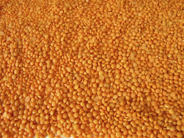 Spread the red lentils over a wooden board