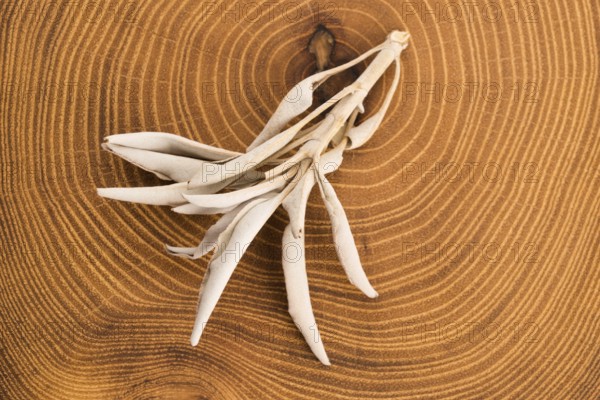 Dried white sage