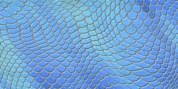 Blue mermaid scales, fish scale, Fantasy texture