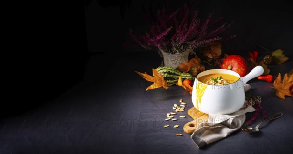 Cream of pumpkin soup with roasted pumpkin seeds and seed oil