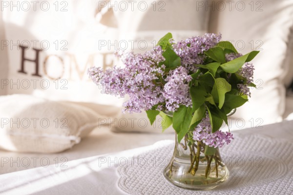 Syringa