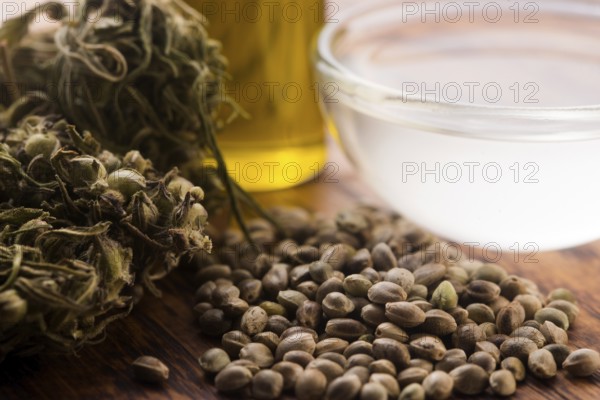 Cannabis extract with leaves