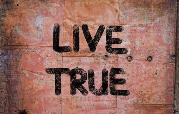 Live True Concept
