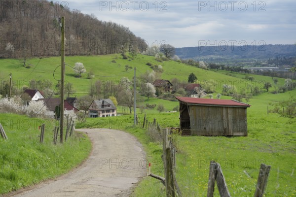 View of the hamlet of Wagrain, Michelfeld, spring, Hohenlohe, hiking, Beaver Valley, Beavers, Swabian-Franconian Forest nature park Park, Germany, Europe