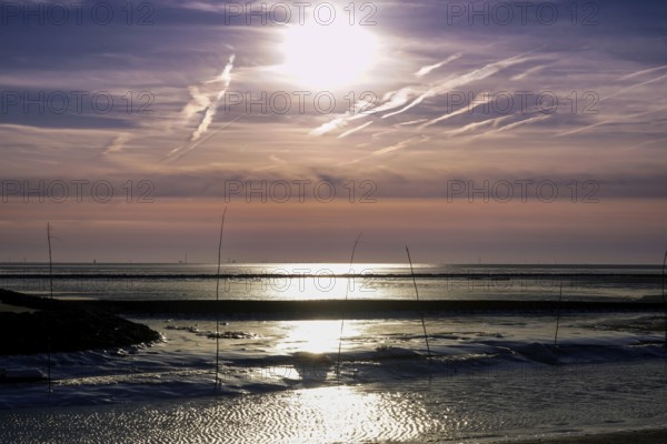 Atmospheric picture of moonlight on water with pastel-coloured sky and calm atmosphere, Dorum-Neufeld harbour 27639 Wurster North Sea coast, Germany, Europe
