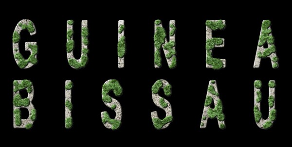 Guinea Bissau Reforestation and Climate Message, Sustainable Green Typography, Green Agenda