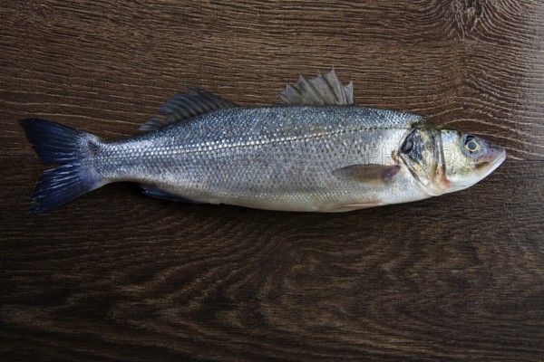 Seabass fresh fish on a dark wooden background