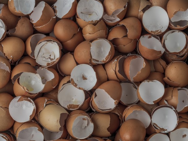 Empty egg shells stacked up