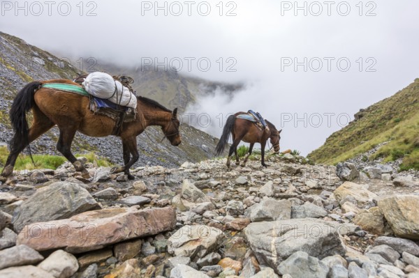Salkantay Trekking in Peru, South America