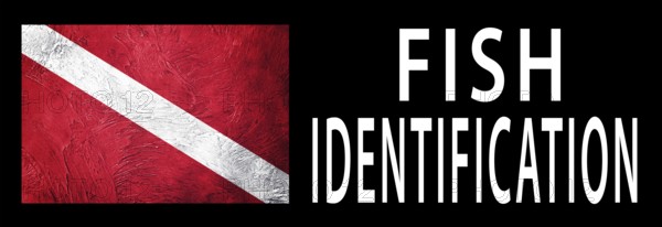 Fish Identification, Diver Down Flag, Scuba flag, Scuba Diving