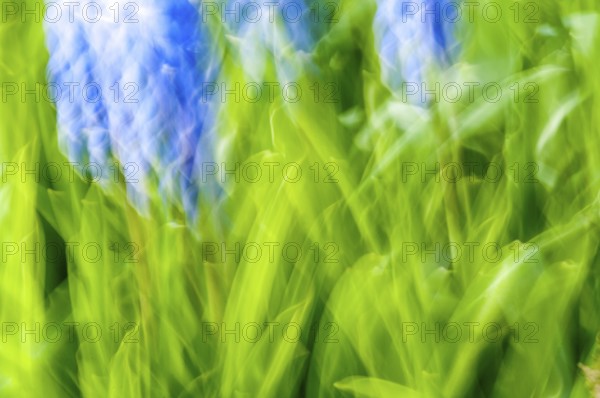Abstract background in fresh green and blue colours. Abstract Green and Blue Background