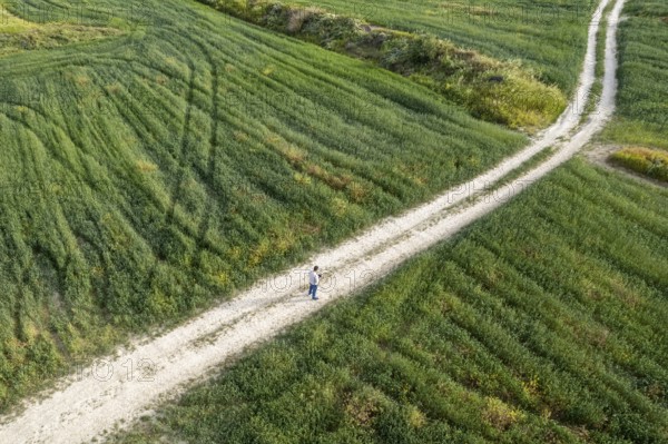 Drone aerial of unrecognized man standing on a rural road in the green field outdoor. One person hiking in nature