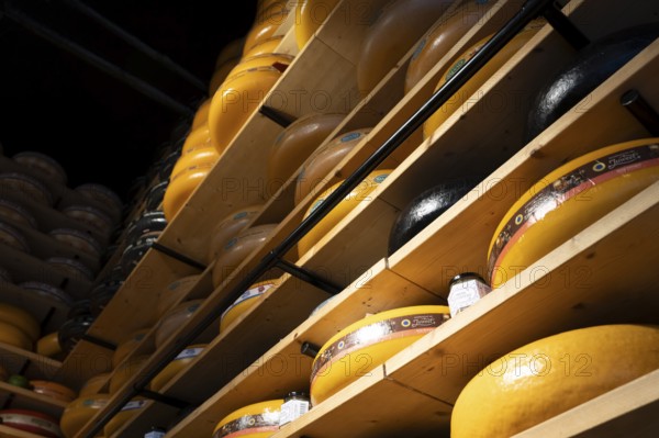 Typical dutch cheese, Amsterdam, Netherlands