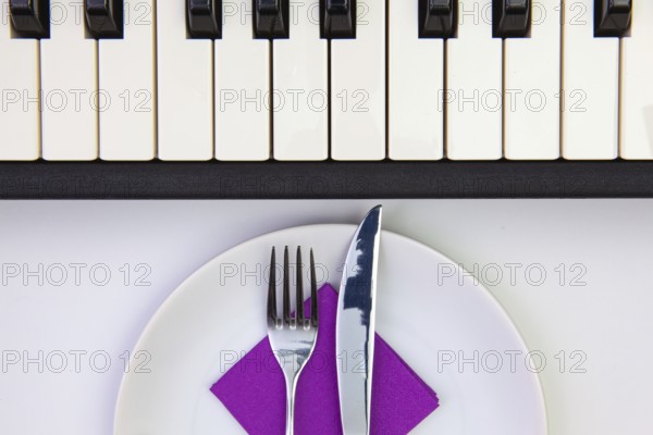 Symphony of taste. White plate and piano keys on the white wooden table.Top view. Flat Lay Image