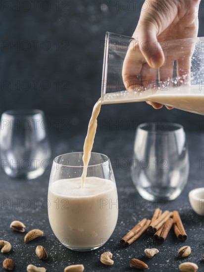 Thandai or Sardai cold drink made during Holi festival. Cold milk drink poured in glass, with ingredients - nuts and spices. Copy space