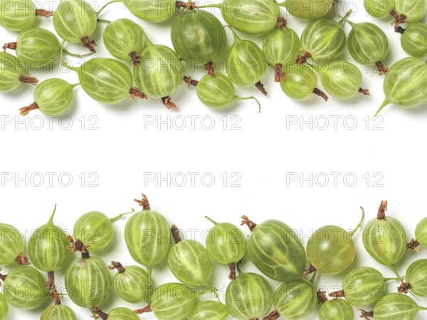 Ripe green gooseberry pattern. Creative layout made of organic gooseberries. Isolated on white with clipping path. Top view or flat lay. Copy space for text in center. Food concept