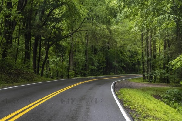 Road trip and traversing along the beautiful protected area of the park