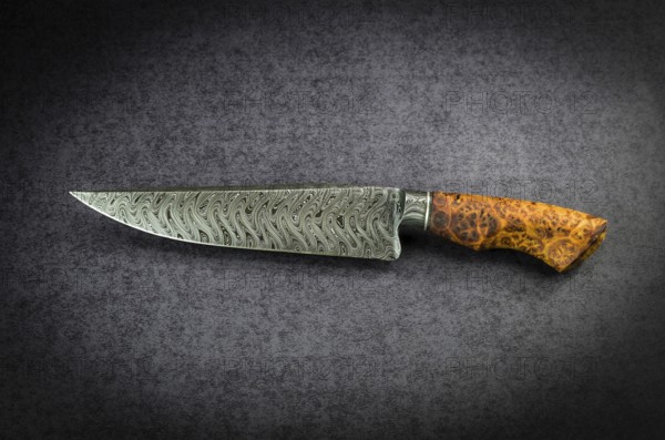 Beautiful luxurious utility knife in Texas Wind damask pattern with noble wood handle on dark background