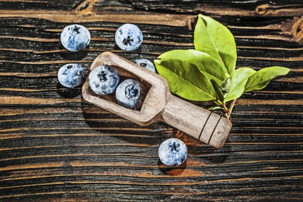 Juicy huckleberries in wooden spoon