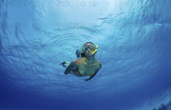 Snorkelling, Netherlands Antilles, Bonaire, Caribbean, Caribbean Sea