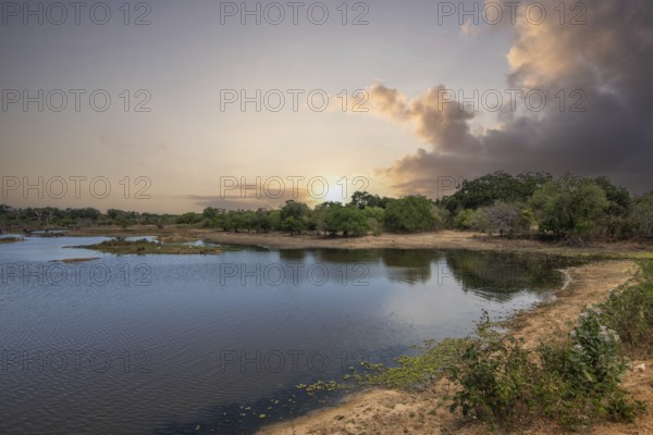 The oldest nature reserve in a fantastic landscape. Natural surroundings in the morning at sunrise. Pure nature in the steppe landscape of Yala National Park, Uva, Sri Lanka, India, Asia