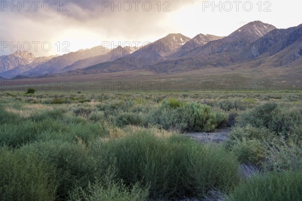 Mountain range with clouded colorful sunset, Eastern Sierra Nevada Mountains, Mono County, California, USA, North America