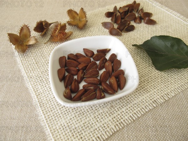 Peeled beechnuts in a small bowl