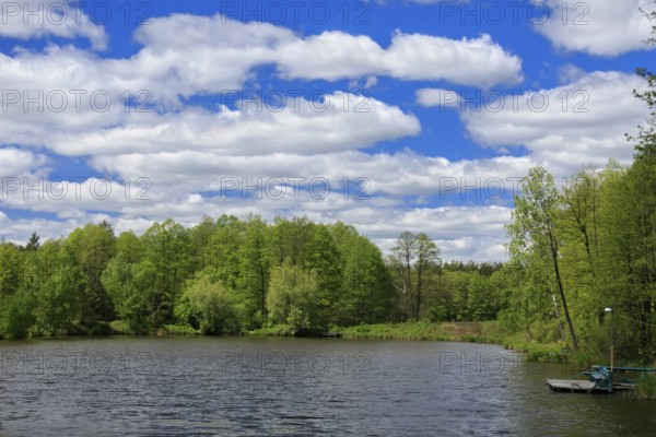 Blue sky with clouds, lake and forest at sunny day