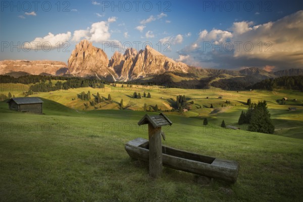 Seiser Alm with Langkofel Group before sunset, South Tyrol, Italy, Europe