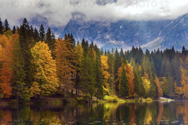 Magnificent colors of autumn. Orange and yellow trees are reflected in the green smooth water. The Alps are covered with clouds. Lake Fuzine in Northern Italy