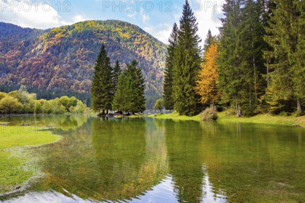 The autumn forests are reflected in the icy water of the lake. Picturesque lake Fusine of glacial origin in Northern Italy. Midday in a mountain valley