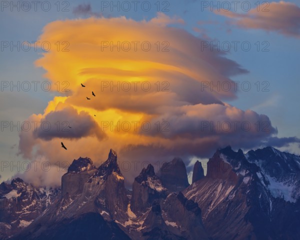 Sunset in the national park Torres del Paine, Chile. Sharp curved peaks Los Quernos. Under the clouds flying flock of Andean condors