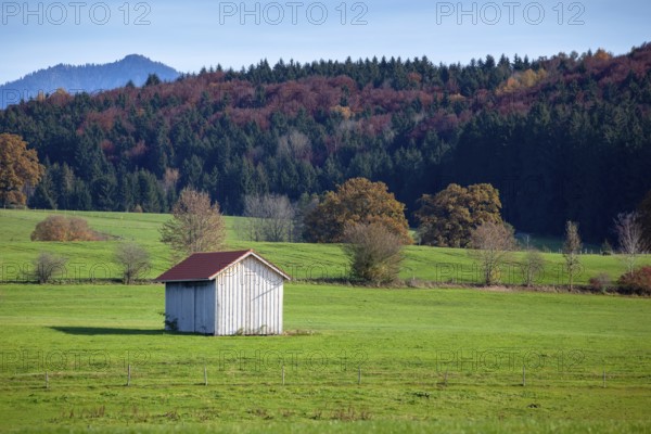 An image of a autumn scenery at Murnau Bavaria Germany